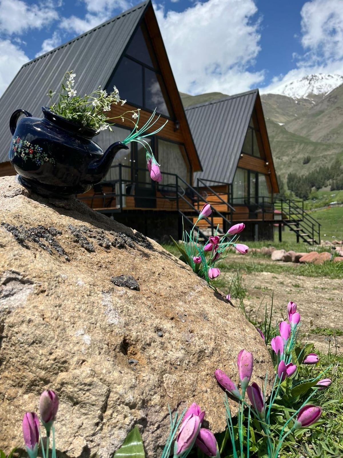 Mtisguli Cottages Stepantsminda Exterior photo